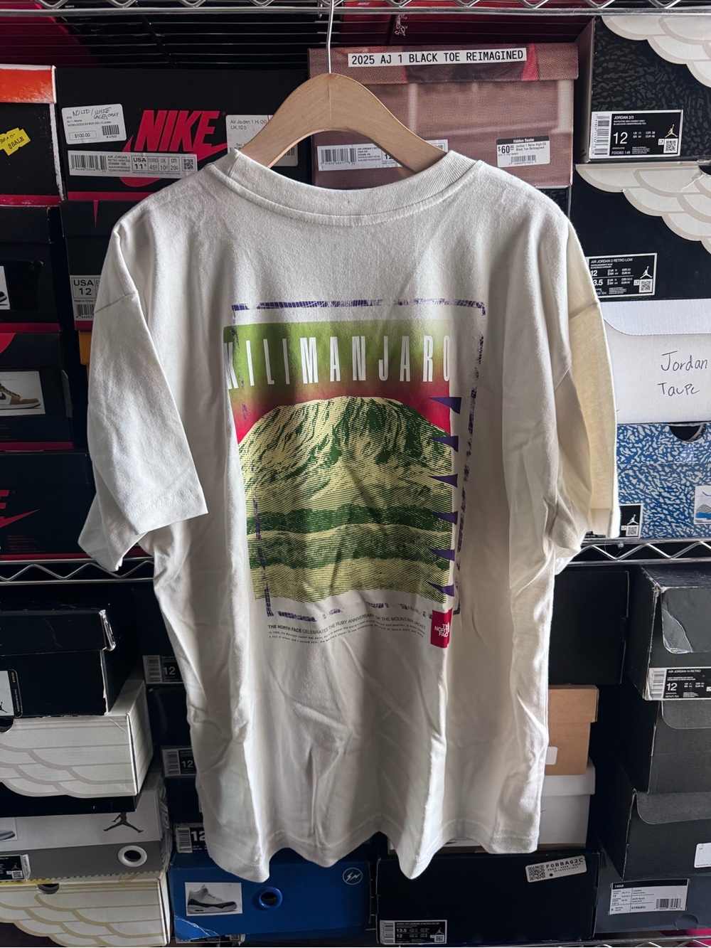 The North Face Kilimanjaro Graphic Tee - White with Green Print